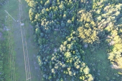 DJI_0052